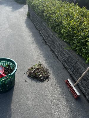 Hur optimerar man en sida om aktier för att få bra placering på Google?